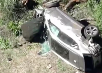 LA서 타이거 우즈 차량 전복, 다리에 큰 부상