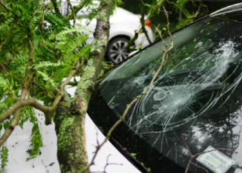 프리웨이서 날아온 타이어 날벼락에 참극