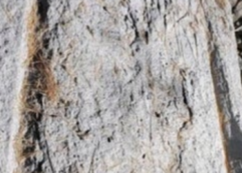 극우 남성, 4000년된 미국판 ‘스톤헨지’ 훼손