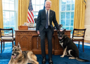 메이저 바이든, 백악관서 쫓겨나