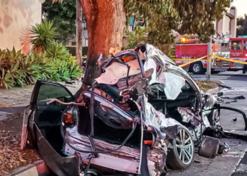 10대 올림픽가서 람보르기니 과속질주, 30대 여성 사망