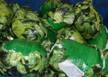 “하마터면 속을 뻔” 시금치 사진 포장 뭉치 국경서 적발