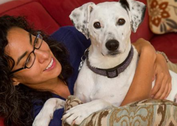 LA, ‘NO KILL’ 최대 도시, 유기견 안락사 10% 미만 