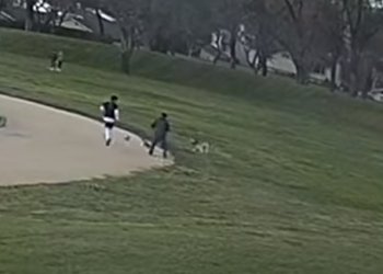 어바인 아시안 노인 폭행범 체포