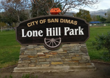 대낮 공원서 이유 없이 칼부림, 60대 여성 살해