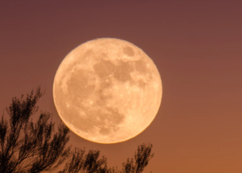 3일 첫 ‘Worm 슈퍼문’..26일 핑크문(올해 일정/명칭)