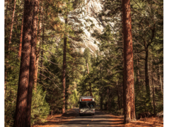 하이웨이 차량 덮친 대형나무에 참변..”자녀 5명 남기고..”