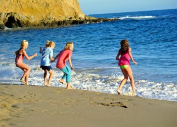 오렌지카운티 오렌지등급으로..