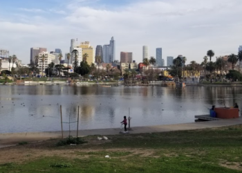 한인타운 맥아더 팍서, MS-13 갱단 활개