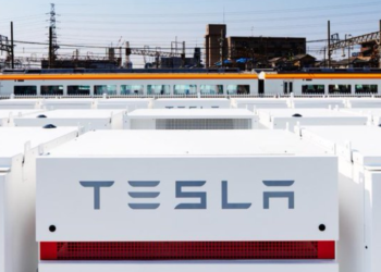 Roth 애널리스트 “테슬라 주식 과대평가..78% 하락” 전망