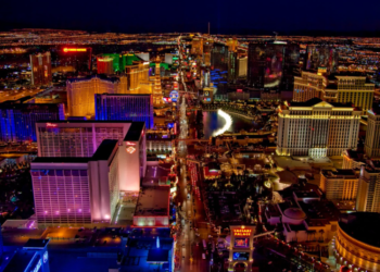 라스베거스, 조경용 잔디 퇴출한다…전국 최초