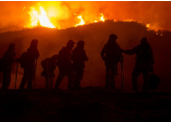 캘리포니아, 건조 극심..”산불, 작년 보다 더 클 수 있어”
