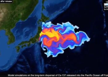 소비자들 일본산 수산물 기피 움직임..삼중수소 피폭 불가피