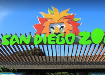 해독제 없는 독사에 사육사 물려