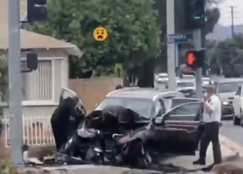 NBA 신인 제네시스 운전 중 교통사고 사망