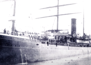 🔲김학천 칼럼(10) 땀 범벅, 눈물 범벅 “우리는 미나리들”