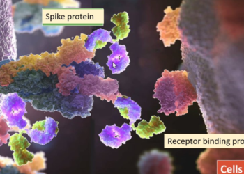 한국, 변이 바이러스 확산 2225건..델타 190건