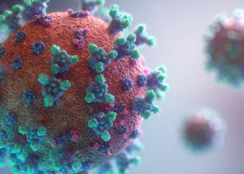 “백신접종 85일 지나면 항체 90% 없어져”