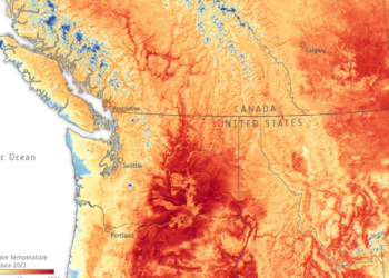 살인 폭염 “코로나 보다 치명적” 일주일새 900여명 사망