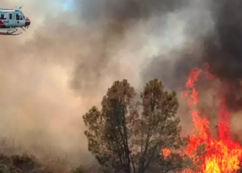 가주 산불 폭발적 양상…거대 구름 자체 번개 생성 
