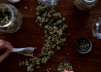 민주당, 연방 차원서 마리화나 전국 합법화 추진  