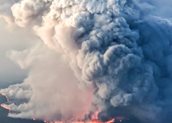 “당장 떠나야 목숨 구한다”…서부 산불 비상