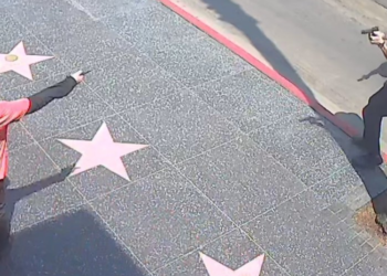 “가짜 총이었네..” ‘ 할리웃 명예의 거리’서 총격 사망 