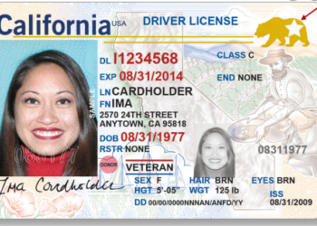 리얼 ID, DMV 줄 안서도 된다..12월 31일전 서둘러야 