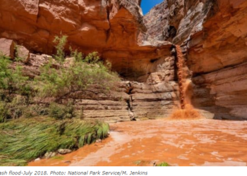 그랜드캐년서 돌발 홍수 발생..여성 관광객 1명 사망