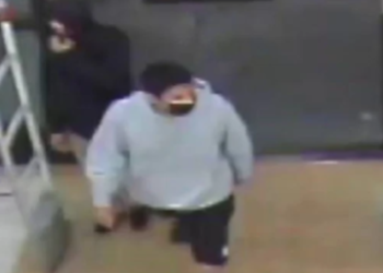 이글락 라이트에이드 살인범 자수(속보)