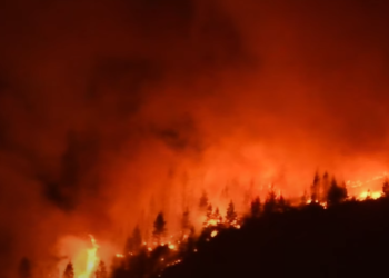 불타는 서부, “연방 차원 긴급대책 나와야”…83개 산불 확산
