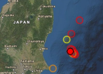 도쿄 인근 앞바다 규모 6.0 지진..올림픽 방송 화면 흔들려