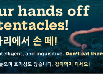 “낙지 먹지 마!!” 한인타운에 난데 없이 들어선 빌보드