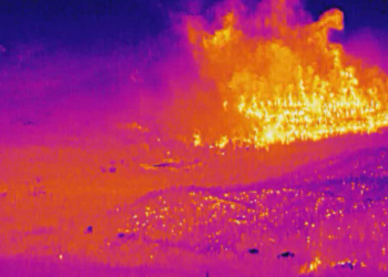 북가주 금광마을, 딕시 산불에 잿더미 