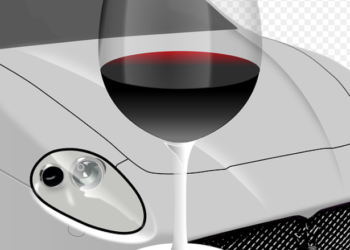 음주운전 여성, 가로수 들이받고 사망..웨스턴 & 8가