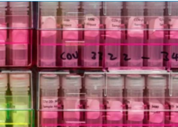 북가주 베이 지역서 ‘델타 플러스’ 변이 확산