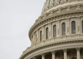 🔲김은희 칼럼(16)  “국가는 국민의 삶에 책임질 수 없다”