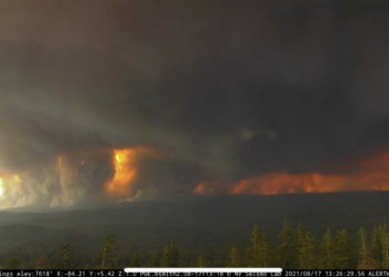 최악 치닫는 산불..1200여채 소실, 5만가구 정전..’캘도’까지