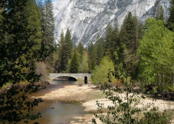 ‘실종’ 한인 일가족 3명 숨진 채 발견..반려견 사체도 함께