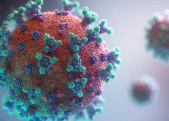 미 국가정보원(NIC), “코로나 바이러스, 생화학무기 아냐”..자연발생 무게