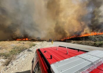 샌버나디노 라일크릭 대형산불…주택 100여채 위협
