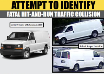 경찰, 현장 다시 찾은 뺑소니범 눈 앞서 놓쳐