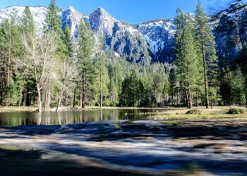 “독성 조류가 범인?” 한인 일가족 사망 사건 조사 확대