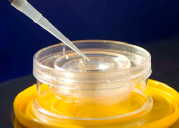 해외서 시험관 출산도 시민권자 인정한다.