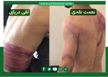 “참수당하지 않는게 다행” 채찍질 당하는 기자들