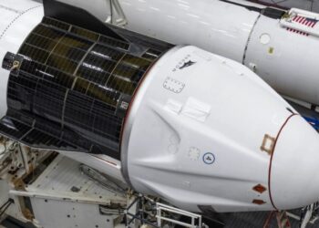 머스크, 바이든 대통령 조롱 “아직도 자고 있나”