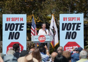 “개빈 뉴섬을 구하라” 해리스 부통령 등판