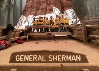 “세쿼이아, 셔먼 장군을 지켜라”