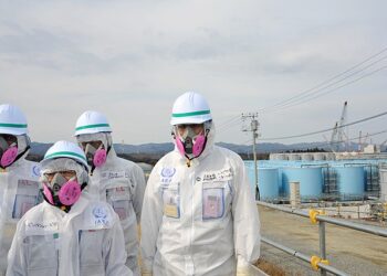 “소비자가 알아서 조심??” FDA, 일본산 식품 수입금지 폐지