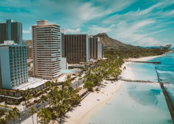 ‘모더나’ 백신 철차 틀려 가짜 백신카드 들통..하와이서 체포